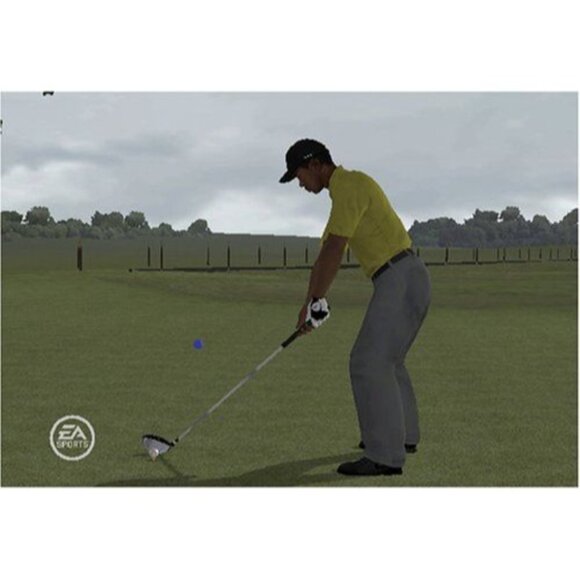 Tiger Woods PGA Tour 09 All-Play Nintendo Wii Game Complete Case Manual Tested - Picture 5 of 8